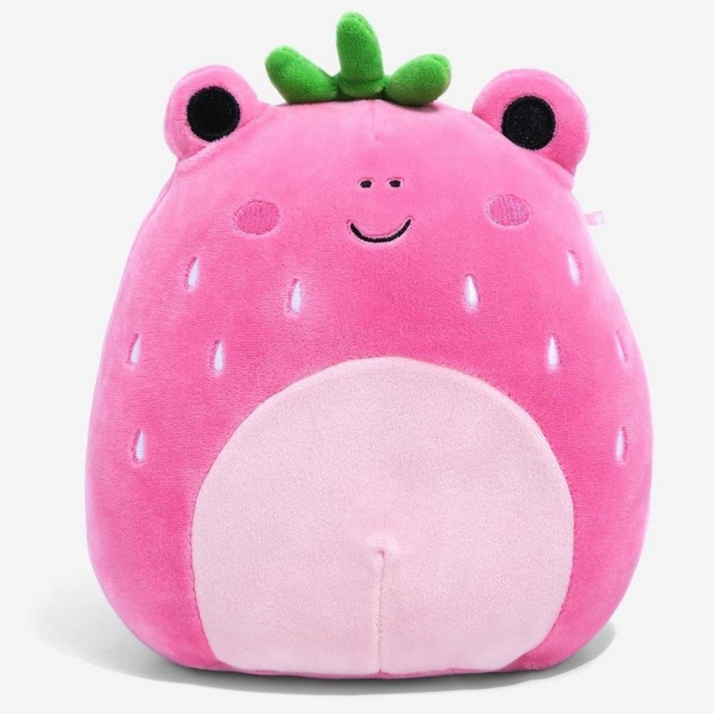 Lunch Box Exclusive Adabelle/Strawberry Frog Squishmallows!